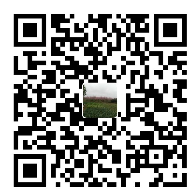 微信打赏二维码